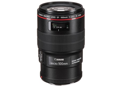 Canon EF 100mm f/2.8L Macro IS USM Lens
