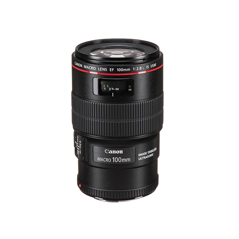 Canon EF 100mm f/2.8L Macro IS USM Lens