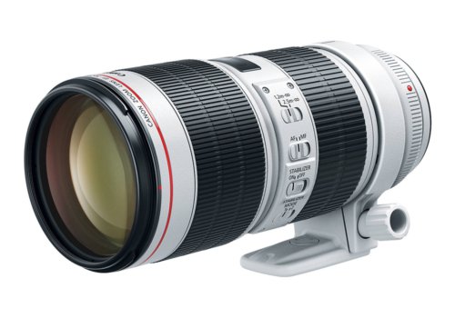 Canon EF 70-200mm f/2.8L IS III USM Lens