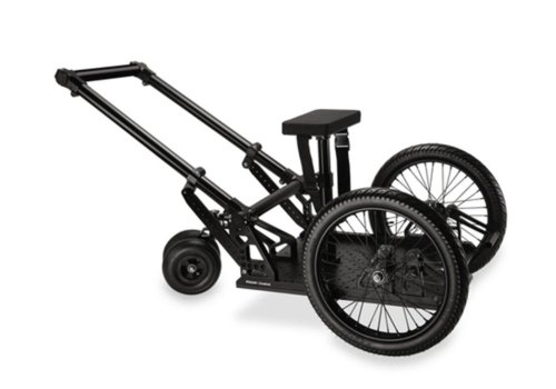 Proaim Cinebird Camera Rickshaw